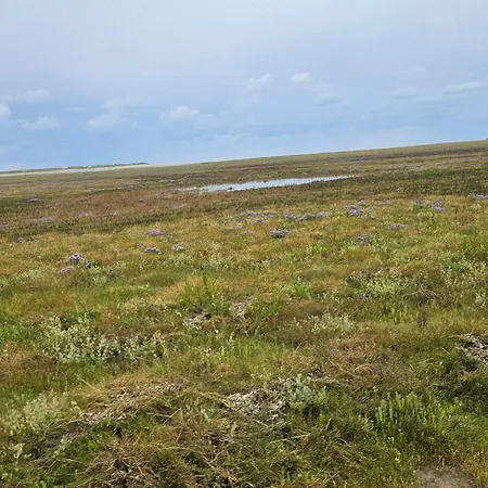 Ferienhaus 6 Person In Romo-by Traum