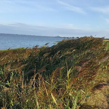 6 Person In Romo-by Traum Sønderby