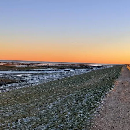 6 Person In Romo-by Traum *