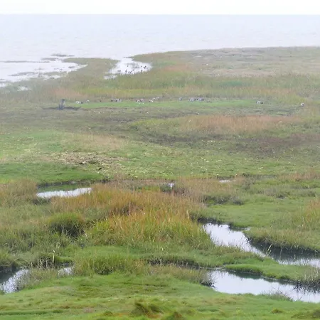 6 Person In Romo-by Traum