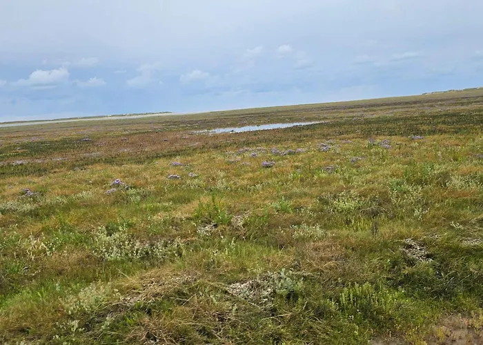 Feriehus 6 Person In Romo-by Traum