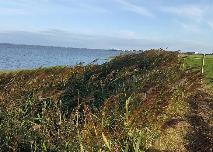 6 Person In Romo-by Traum Sønderby