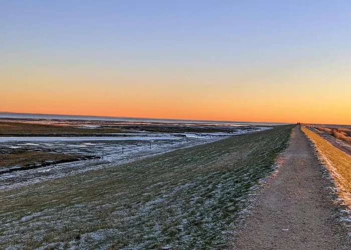 6 Person In Romo-by Traum *