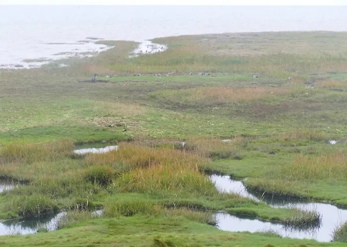 6 Person In Romo-by Traum