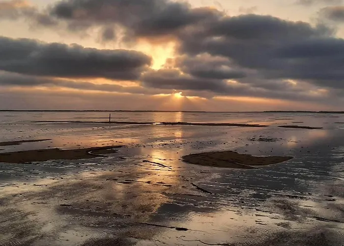 6 Person In Romo-by Traum Feriehus *